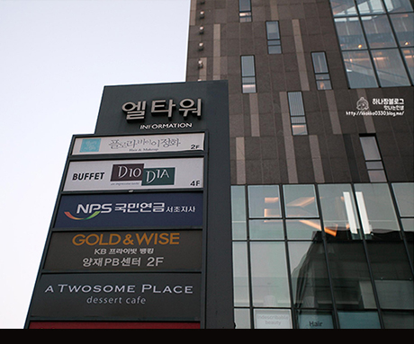 2015003171diodia_sum